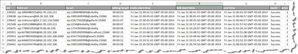 CDR2Cloud - CDR File in Excel
