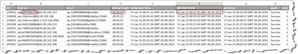 CDR2Cloud - CDR File in Excel